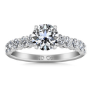 Round Diamond Pave Engagement Ring Grande 14K White Gold