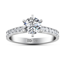 Round Diamond Pave Engagement Ring Yvonne 14K White Gold