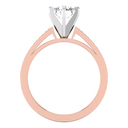 Pave Diamond Engagement Ring Calla 14K Rose Gold
