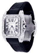 Cartier Santos 100 | Stainless Steel