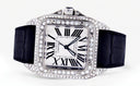 Cartier Santos 100 | Stainless Steel