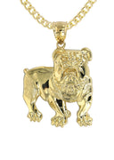 10K Yellow Gold Cuban Chain & Gold Dog Pendant | Appx. 17.2 Grams