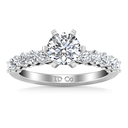 Round Diamond Pave Engagement Ring Fleur 14K White Gold