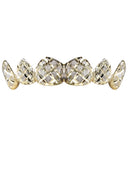 GOLD 6 TEETH DIAMOND DUST GRILLS