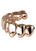 GOLD 10 TEETH GOLD GRILLS