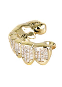 GOLD 8 TOOTH INVISIBLE SET PRINCESS GRILLS